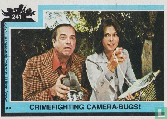 Crimefighting Camera - Bugs!