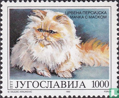 maison Chats
