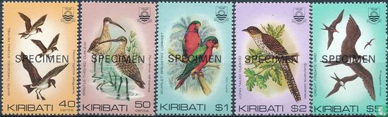 Oiseaux imprimés - Image 2