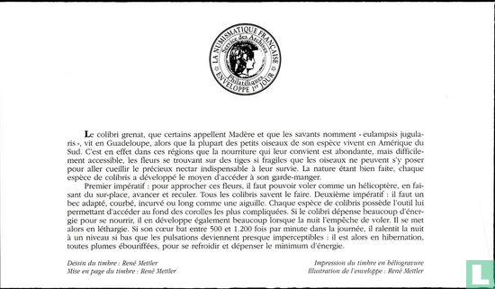 Überseevögel - Bild 2
