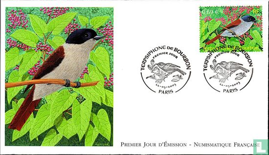 Overzeese vogels - Afbeelding 1