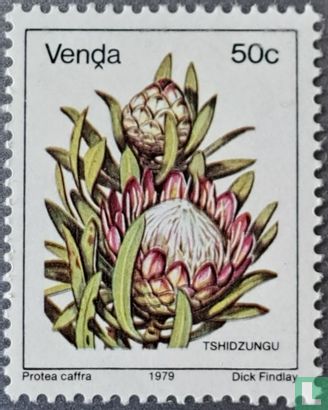 Bloemen