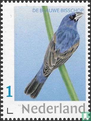 Blauwe bisschop