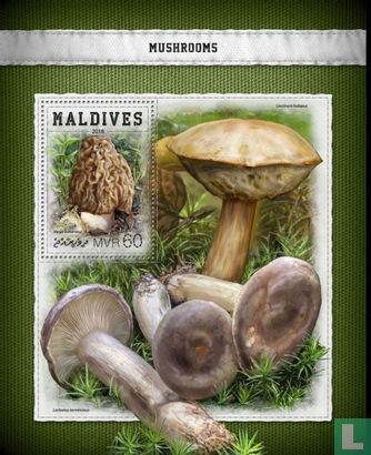 Champignons