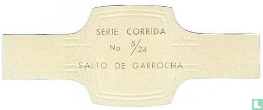 Salto de garrocha - Image 2
