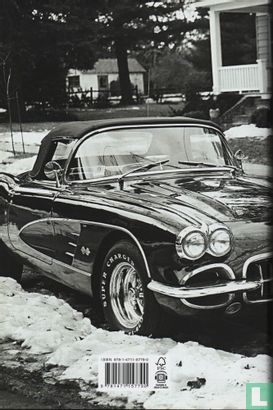 Born to Run - Afbeelding 2