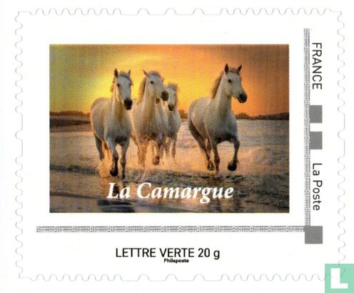 The Camargue
