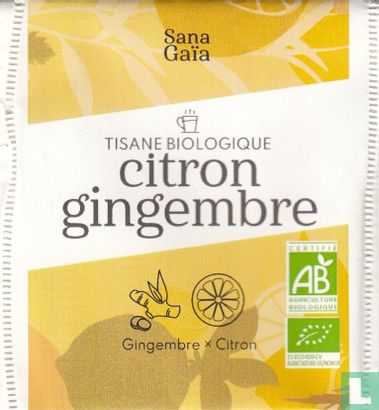 citron gingembre - Image 1
