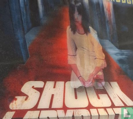 The Shock Labyrinth 3D - Image 4