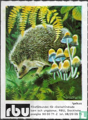 Dieren