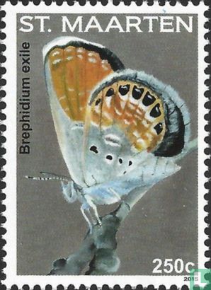 Butterflies