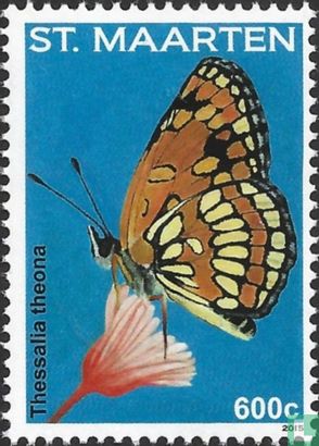 Butterflies