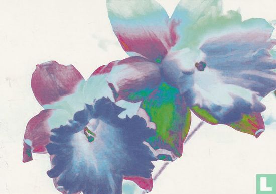 B07162 - spring fever - Image 1