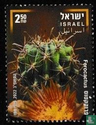 Ferocactus