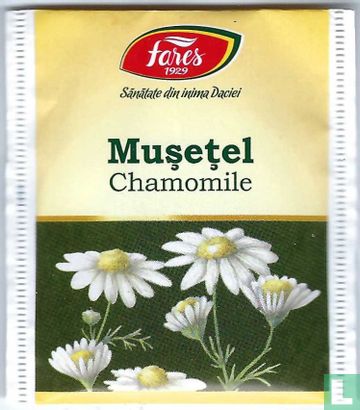 Muşeţel - Image 1