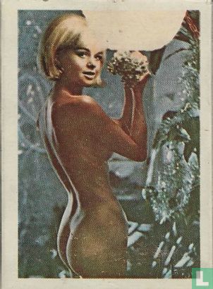 54 Models colour playing cards - Bild 2