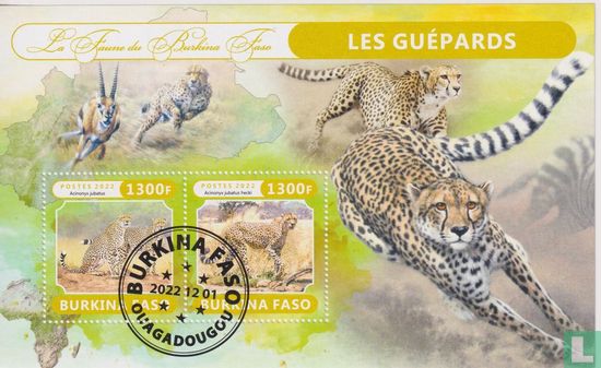 Léopards