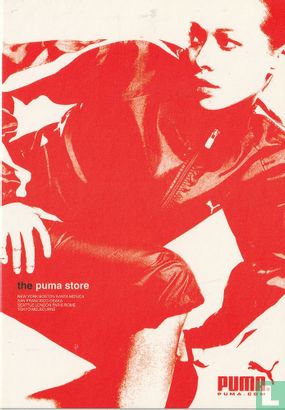 Puma - Bild 1