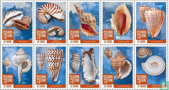 Muscheln