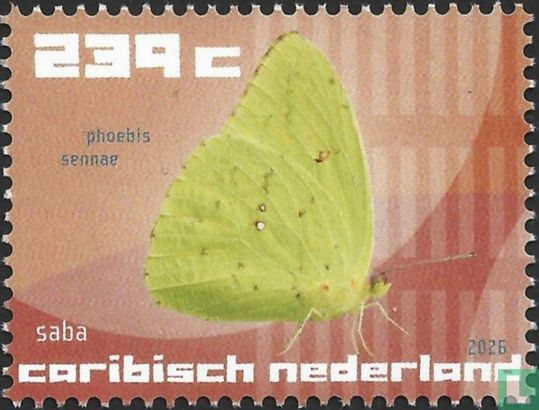 Les papillons de Saba