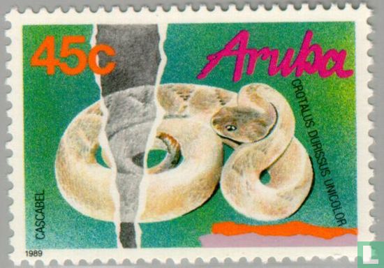 Aruba rattlesnake