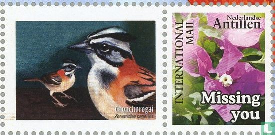 Personalisierte Briefmarken-International Mail