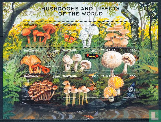Mushrooms and insects