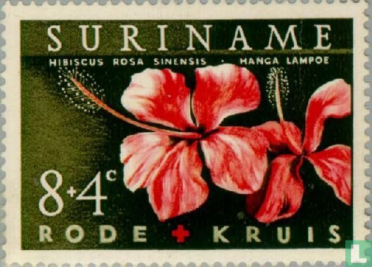 Croix-Rouge du Suriname