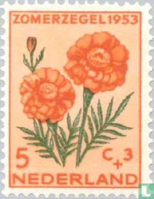 Summer stamps