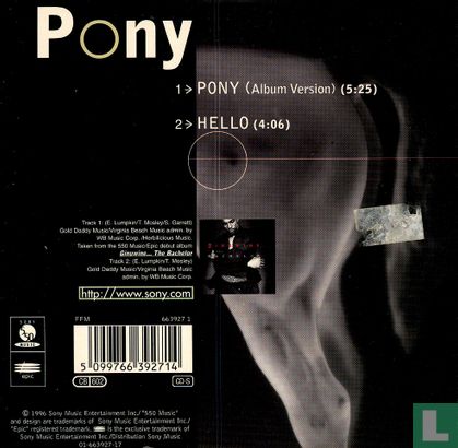 Pony - Bild 2