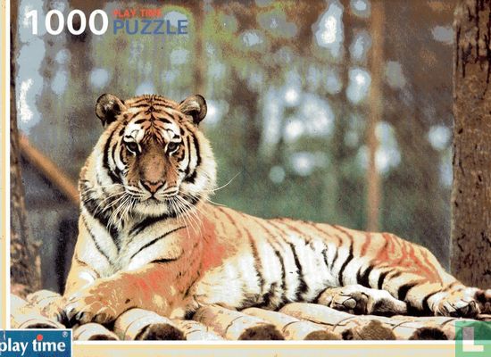 Play Time Puzzle Siberian Tiger