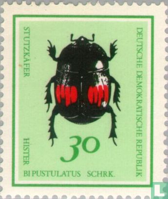 Käfer