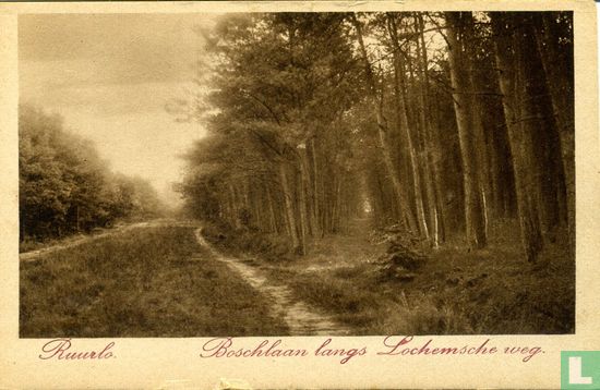 Ruurlo Boschlaan langs Lochemsche weg. - Image 1
