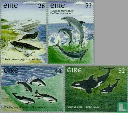 1997 Zeezoogdieren (IER 356)