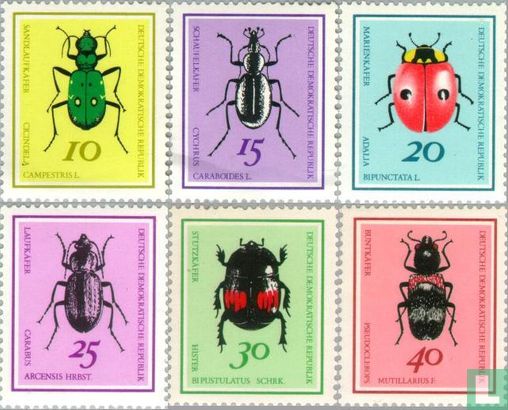  Beetles 
