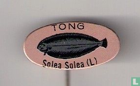 Tong Solea Solea (L)