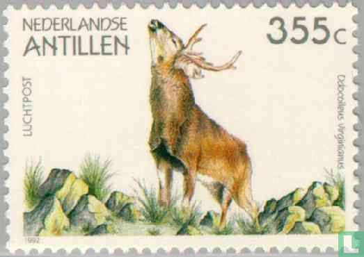 WWF-White-Tailed Deer 