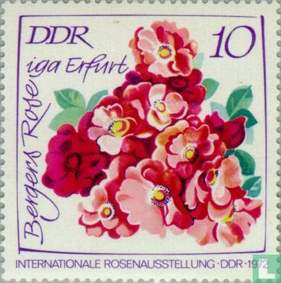 Exposition Internationale de Roses
