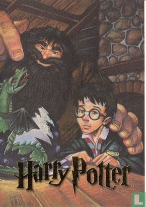 Harry Potter 2 - Afbeelding 1