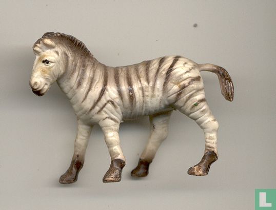 Zebra