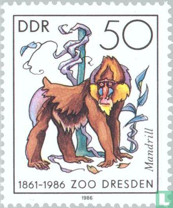 Zoo in Dresden