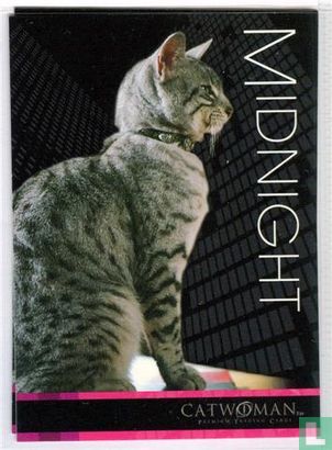 Midnight - Bild 1