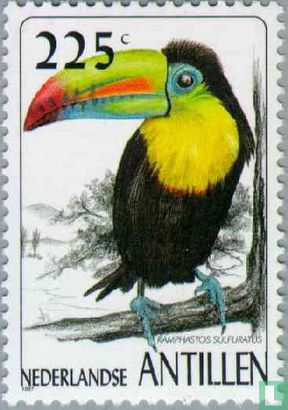 Vögel, Schwefeltukan