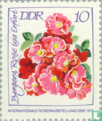 Roses (186)