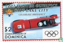 Jeux olympiques d'hiver