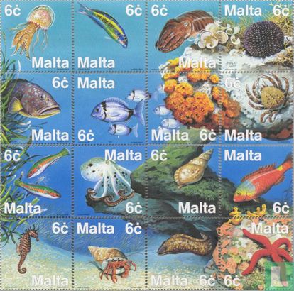 Fauna Mediterranean 