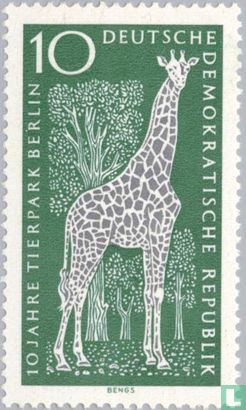 Noordelijke giraffe - Afbeelding 1