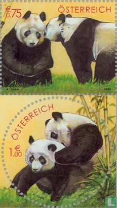 Panda- onderzoek 