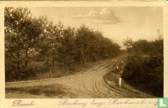Ruurlo Boschweg langs Barchemsche weg.  - Afbeelding 1