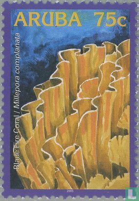 Coral